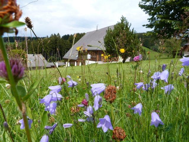 Thaelerhaeusle Hotel Furtwangen Exterior photo